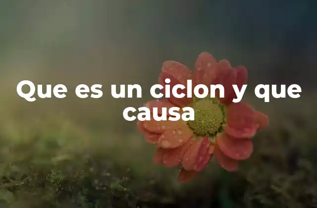 Que es un Ciclon y que Causa 2 El papel del océano en la formación de los ciclones