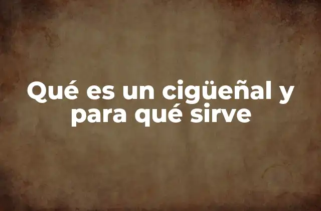 El corazón mecánico del motor