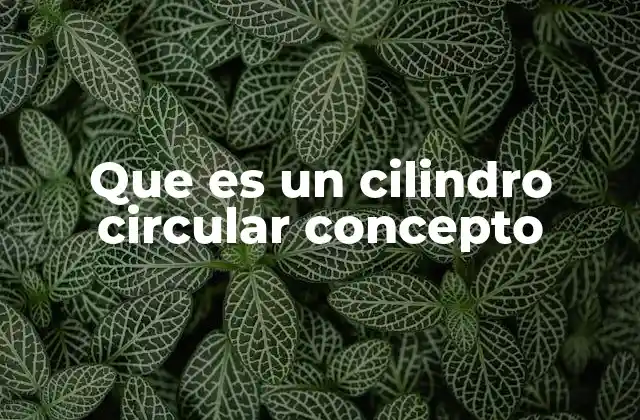 Que es un Cilindro Circular Concepto