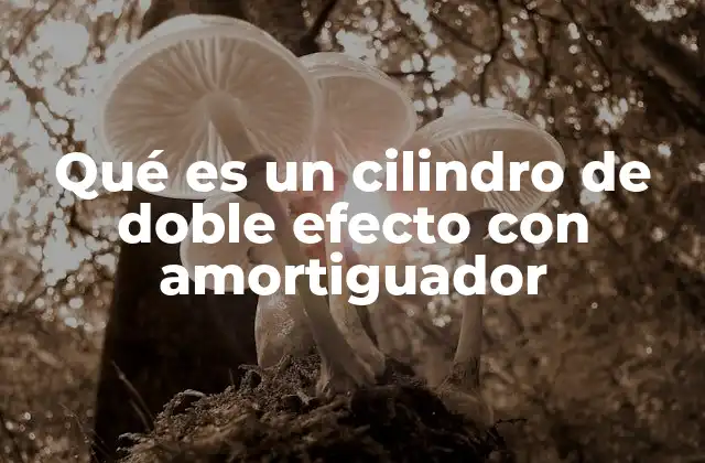 Características y componentes esenciales