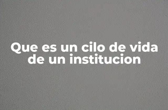 Que es un Cilo de Vida de un Institucion