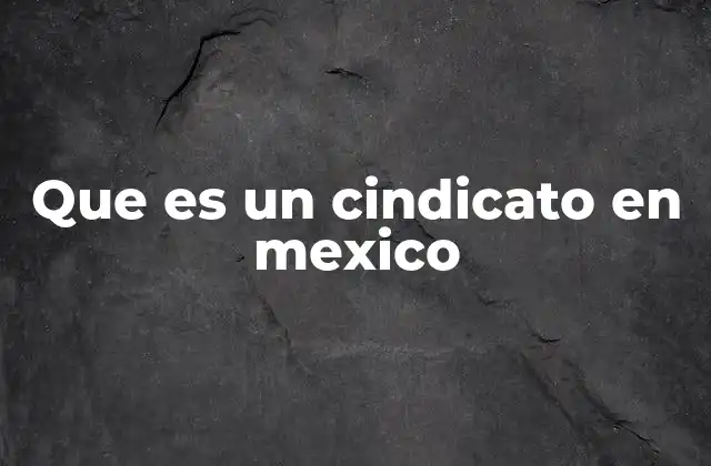 Que es un Cindicato en Mexico