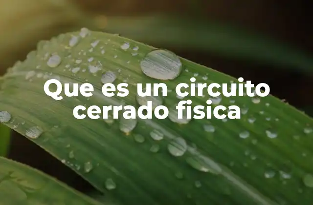 Que es un Circuito Cerrado Fisica