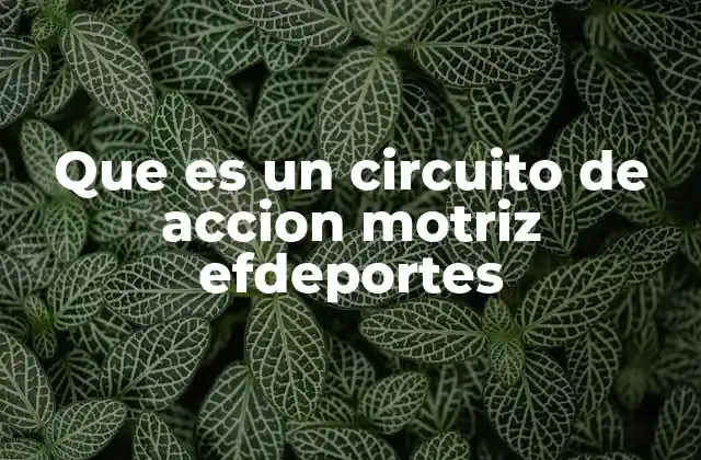 Que es un Circuito de Accion Motriz Efdeportes