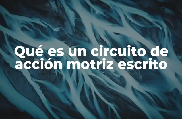 Qué es un Circuito de Acción Motriz Escrito