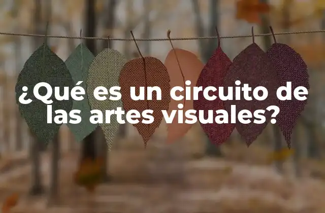 ¿qué es un Circuito de las Artes Visuales?
