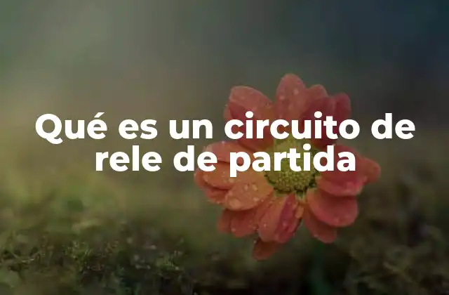 Qué es un Circuito de Rele de Partida