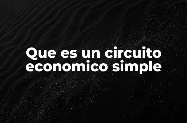 Que es un Circuito Economico Simple