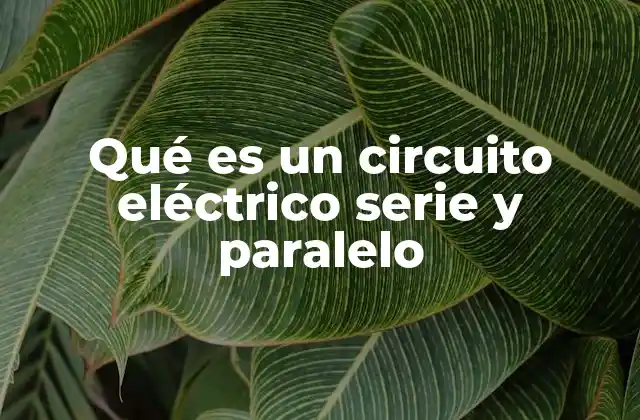 Qué es un Circuito Eléctrico Serie y Paralelo