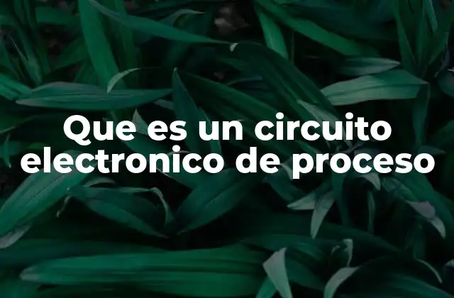 Que es un Circuito Electronico de Proceso