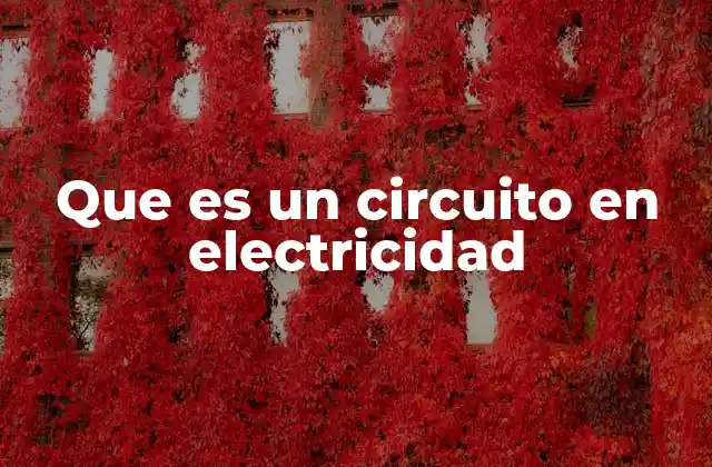 Que es un Circuito en Electricidad