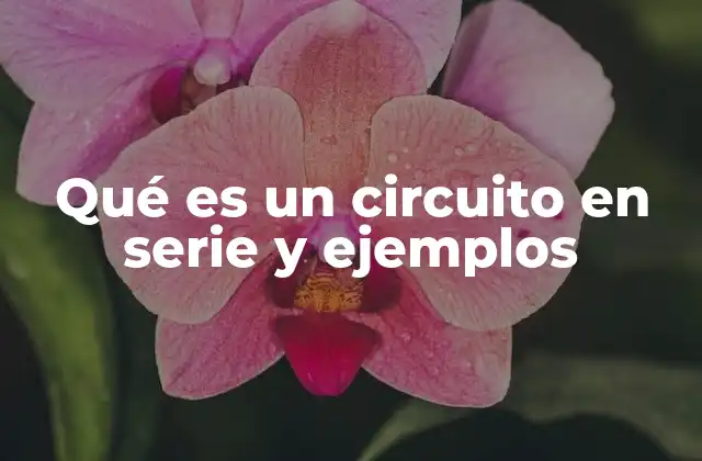 Qué es un Circuito en Serie y Ejemplos