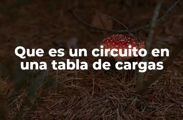 Que es un Circuito en una Tabla de Cargas