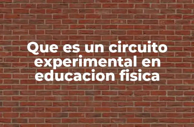 Que es un Circuito Experimental en Educacion Fisica 2 La importancia de los circuitos experimentales en el aula de educación física