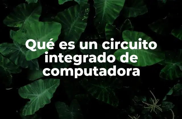 Qué es un Circuito Integrado de Computadora