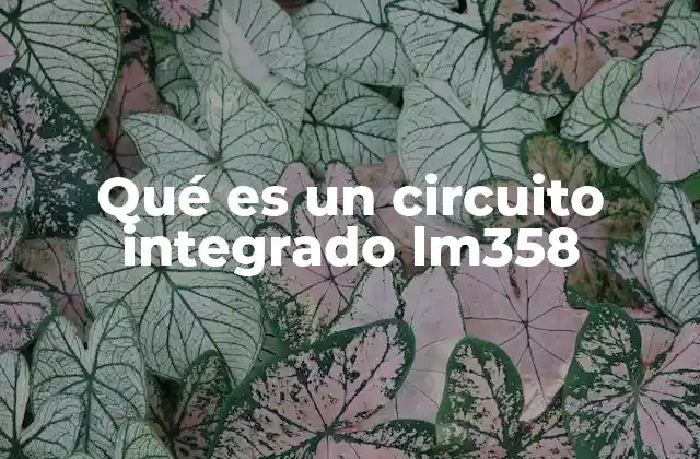 Qué es un Circuito Integrado Lm358