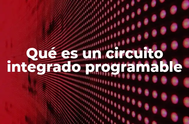 Qué es un Circuito Integrado Programable