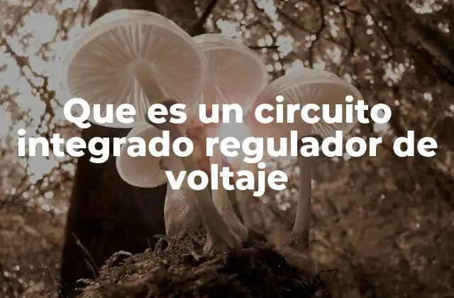 Que es un Circuito Integrado Regulador de Voltaje