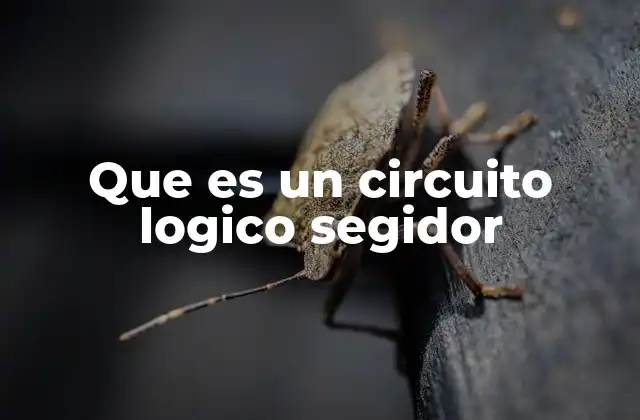 Que es un Circuito Logico Segidor