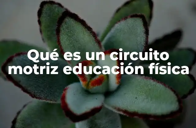 Qué es un Circuito Motriz Educación Física
