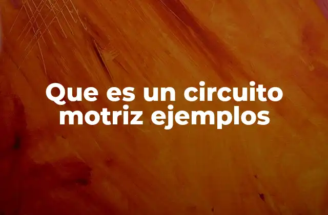 Funcionamiento del sistema nervioso en los movimientos