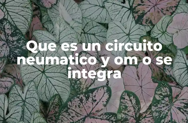 Que es un Circuito Neumatico y Om o Se Integra