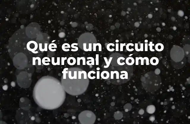 La base biológica de los circuitos cerebrales