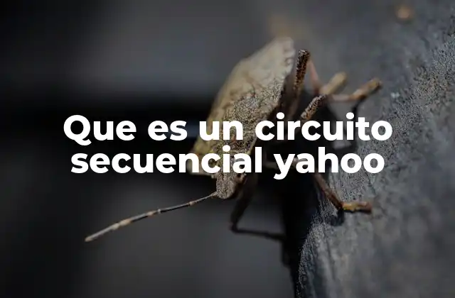 Que es un Circuito Secuencial Yahoo