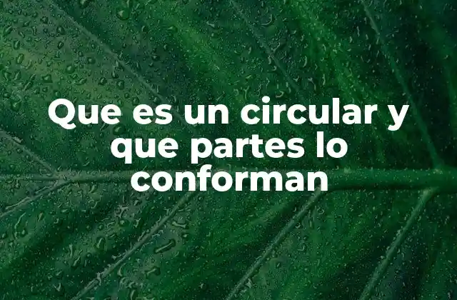 Que es un Circular y que Partes Lo Conforman