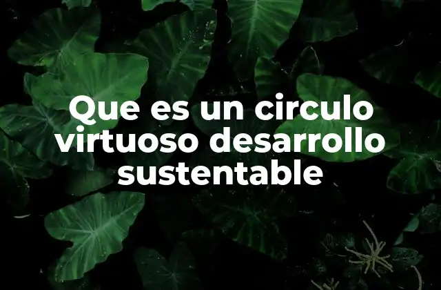 Que es un Circulo Virtuoso Desarrollo Sustentable