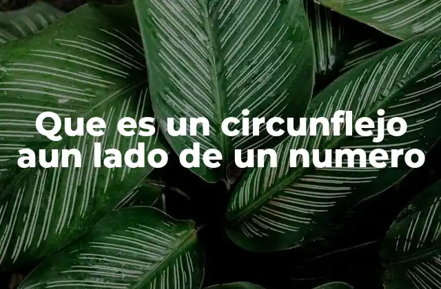El circunflejo en matemáticas y notación simbólica