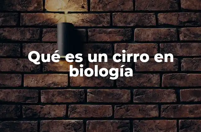 Qué es un Cirro en Biología
