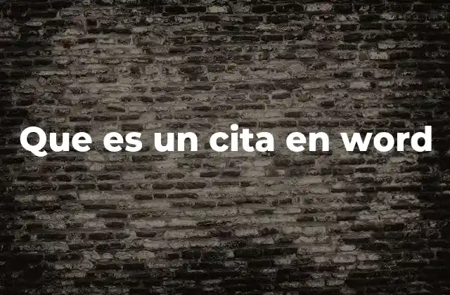 Que es un Cita en Word