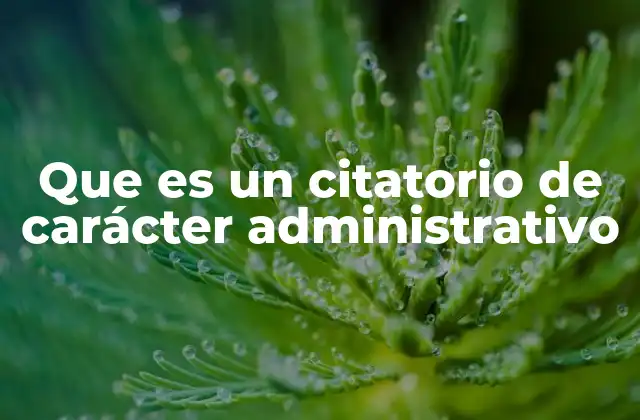 La importancia de los citatorios en el ámbito administrativo
