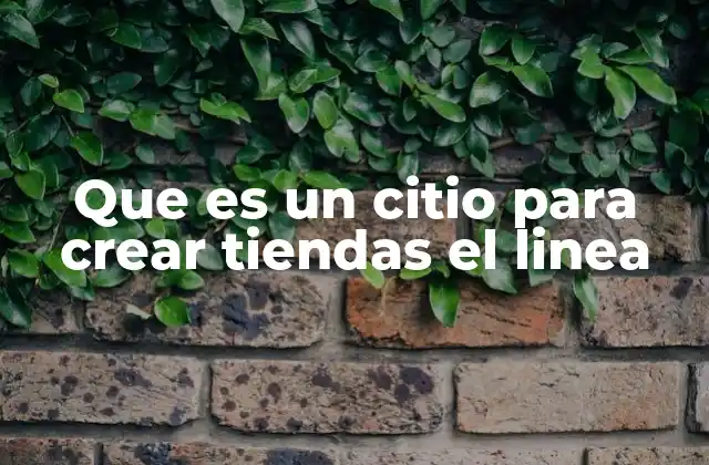 Cómo funcionan las plataformas para construir negocios digitales