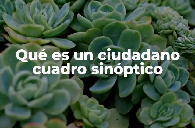 Qué es un Ciudadano Cuadro Sinóptico