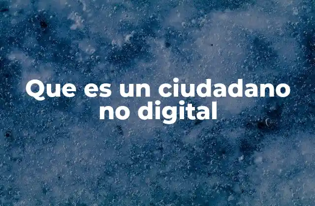 Que es un Ciudadano No Digital