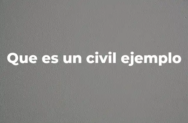 Que es un Civil Ejemplo