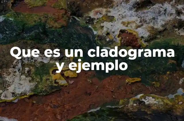Que es un Cladograma y Ejemplo