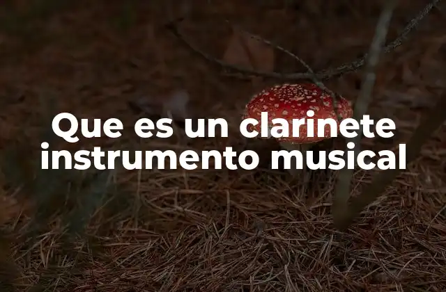 Que es un Clarinete Instrumento Musical