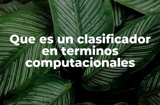 Que es un Clasificador en Terminos Computacionales