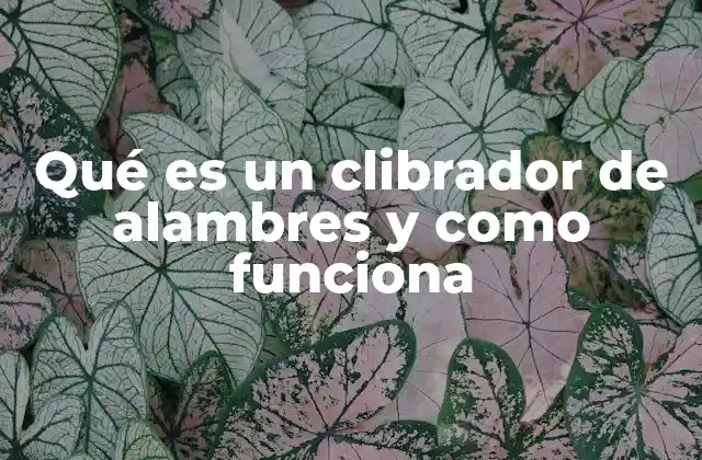 Qué es un Clibrador de Alambres y como Funciona