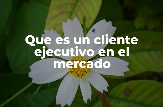 Que es un Cliente Ejecutivo en el Mercado
