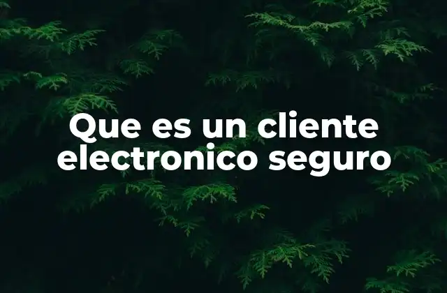 Que es un Cliente Electronico Seguro