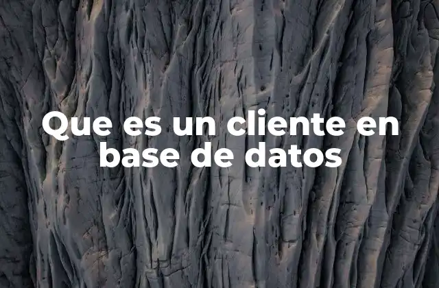 Que es un Cliente en Base de Datos