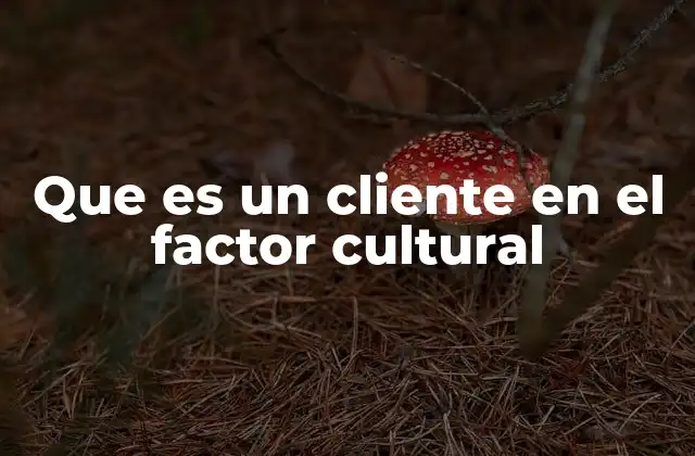 Que es un Cliente en el Factor Cultural