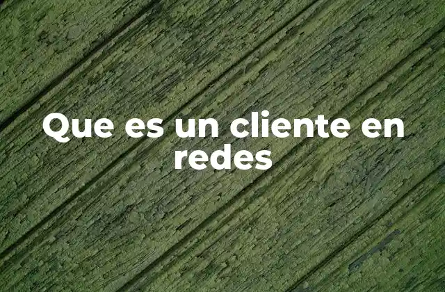 Que es un Cliente en Redes