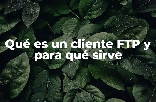 Cómo interactúan los clientes FTP con los servidores