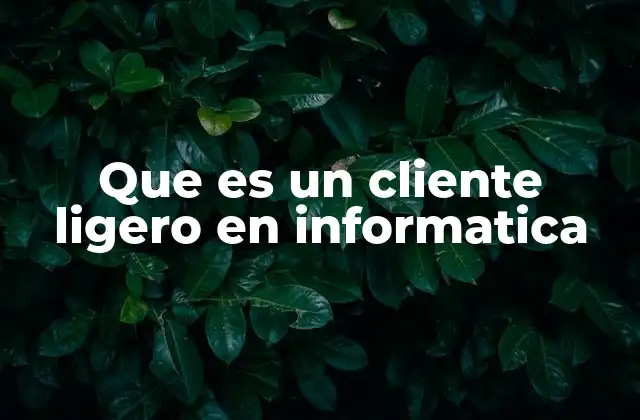 Que es un Cliente Ligero en Informatica