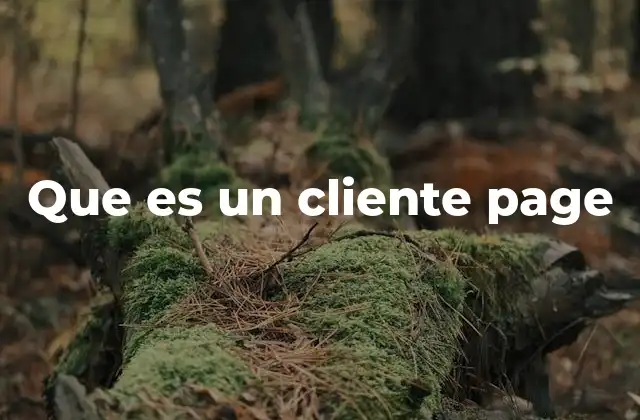 Que es un Cliente Page